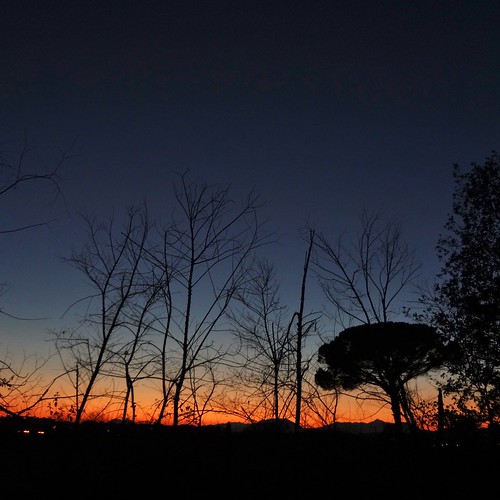 mediterraneo tramonto cielo albero crepuscolo molise isernia pinodomestico regnodinapoli archifraisernia francescodevincenzi mezzogiornoitaliano